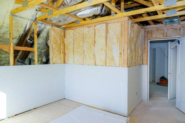Best Insulation Installation Services in Mayville, WI